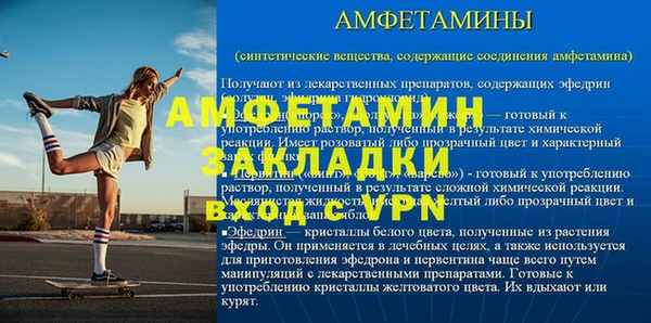 индика Пестово