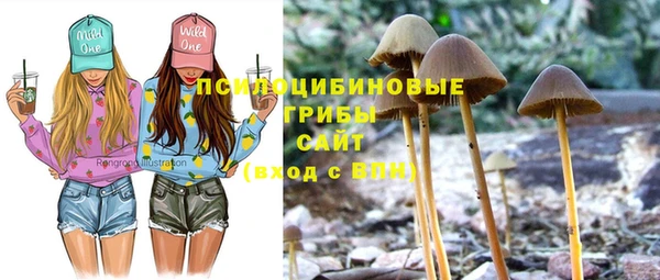 спиды Алексеевка