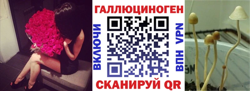 Псилоцибиновые грибы Psilocybe  наркота  Арск 